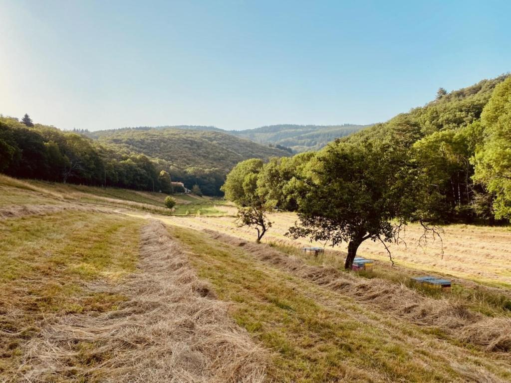 Nabat Le Haut, Chambre Et Table D'Hotes Courniou 外观 照片