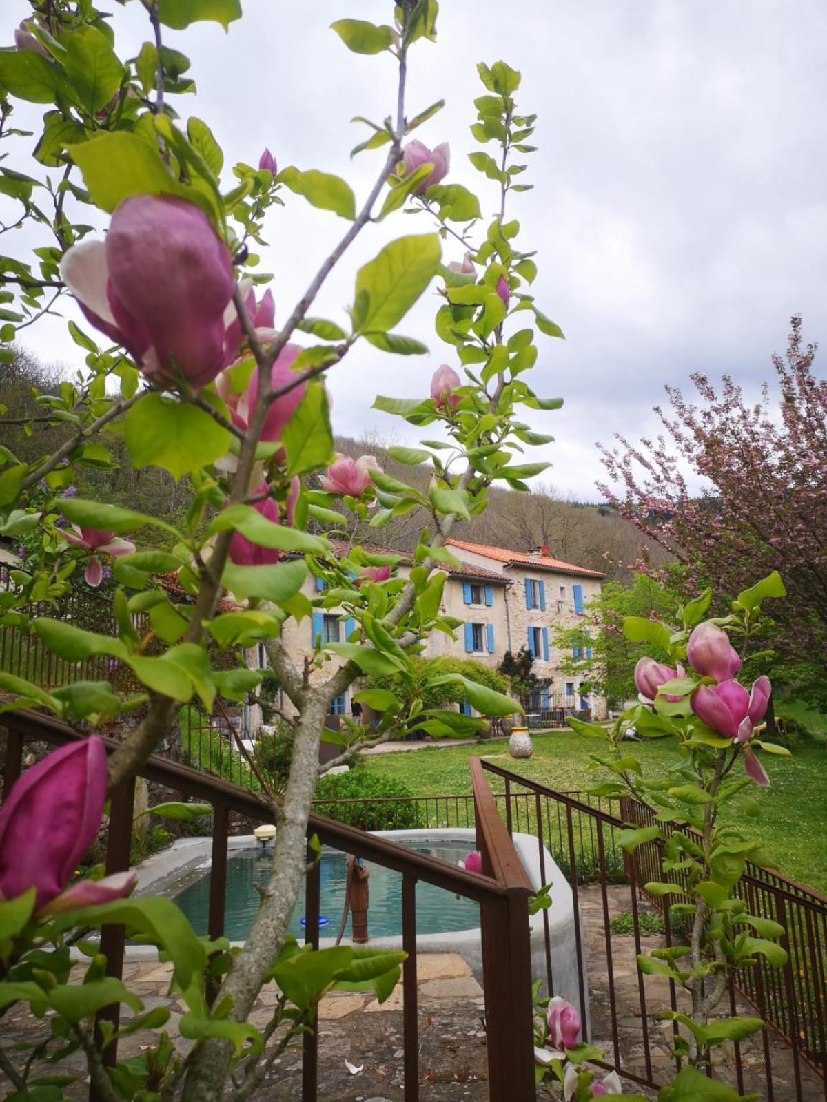 Nabat Le Haut, Chambre Et Table D'Hotes Courniou 外观 照片