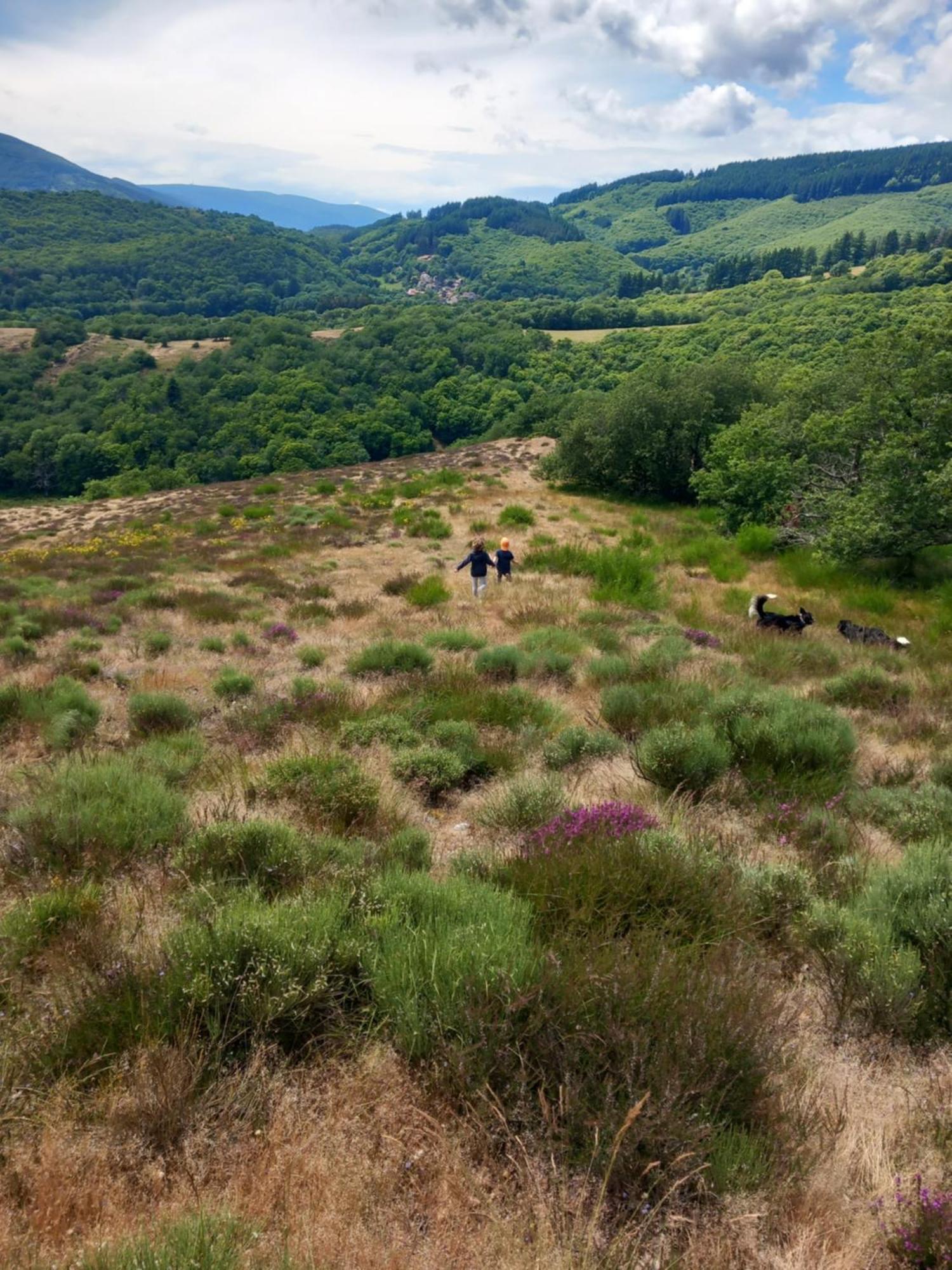 Nabat Le Haut, Chambre Et Table D'Hotes Courniou 外观 照片
